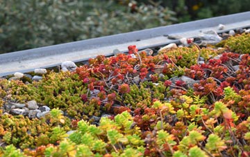 the cost of Stainsacre green roof installation
