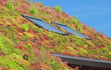 Stainsacre living roof systems