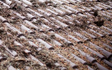 Stainsacre roof cleaning companies