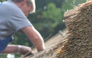 professional Stainsacre thatchers